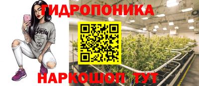 гашик Заволжье