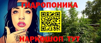 гашик Заволжье