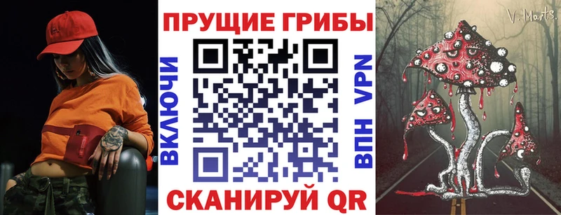 Псилоцибиновые грибы мицелий  купить закладку  Оренбург 