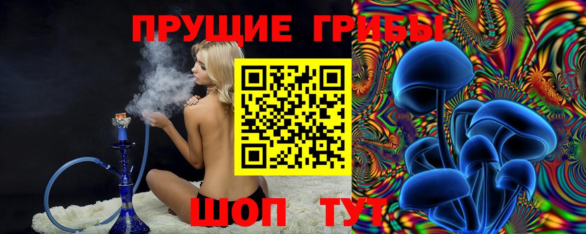 Оренбург  Галлюциногенные грибы Psilocybe  купить  сайты  Вход с VPN 